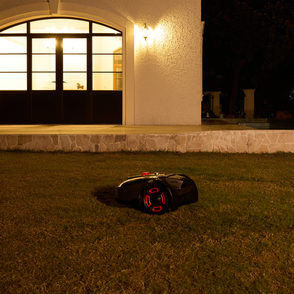 AI Night Cutting Mode